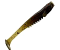 кальмар